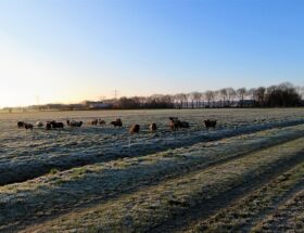 Draußenschlafen leicht gemacht: Tipps für die perfekte nacht unter freiem himmel