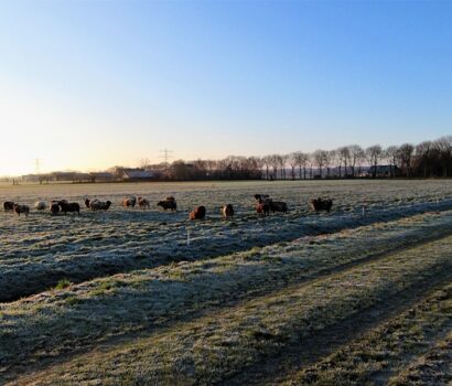 Draußenschlafen leicht gemacht: Tipps für die perfekte nacht unter freiem himmel